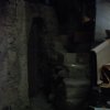 Burgio_2009 (472)
